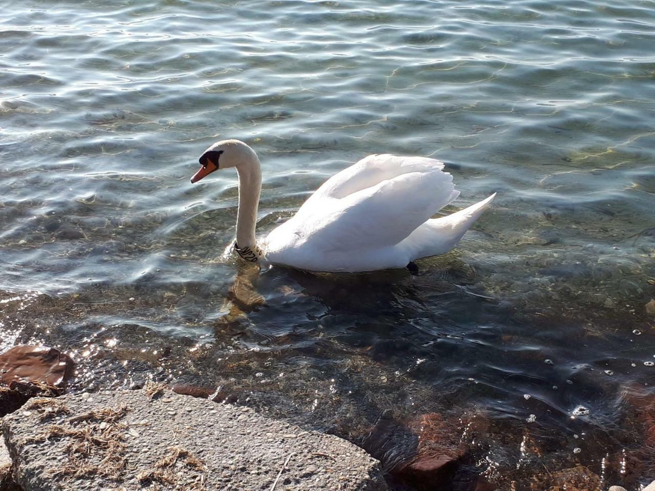 Balaton View Apartment Balatonboglár Εξωτερικό φωτογραφία
